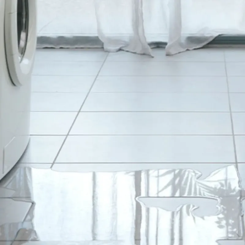 Appliance Leak Cleanup in Calhoun County, SC