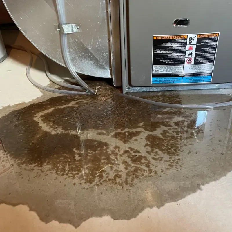Pipe Burst and Leak Restoration in Calhoun County, SC