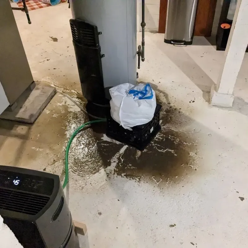 Sewage Backup Cleanup Service in Calhoun County, SC